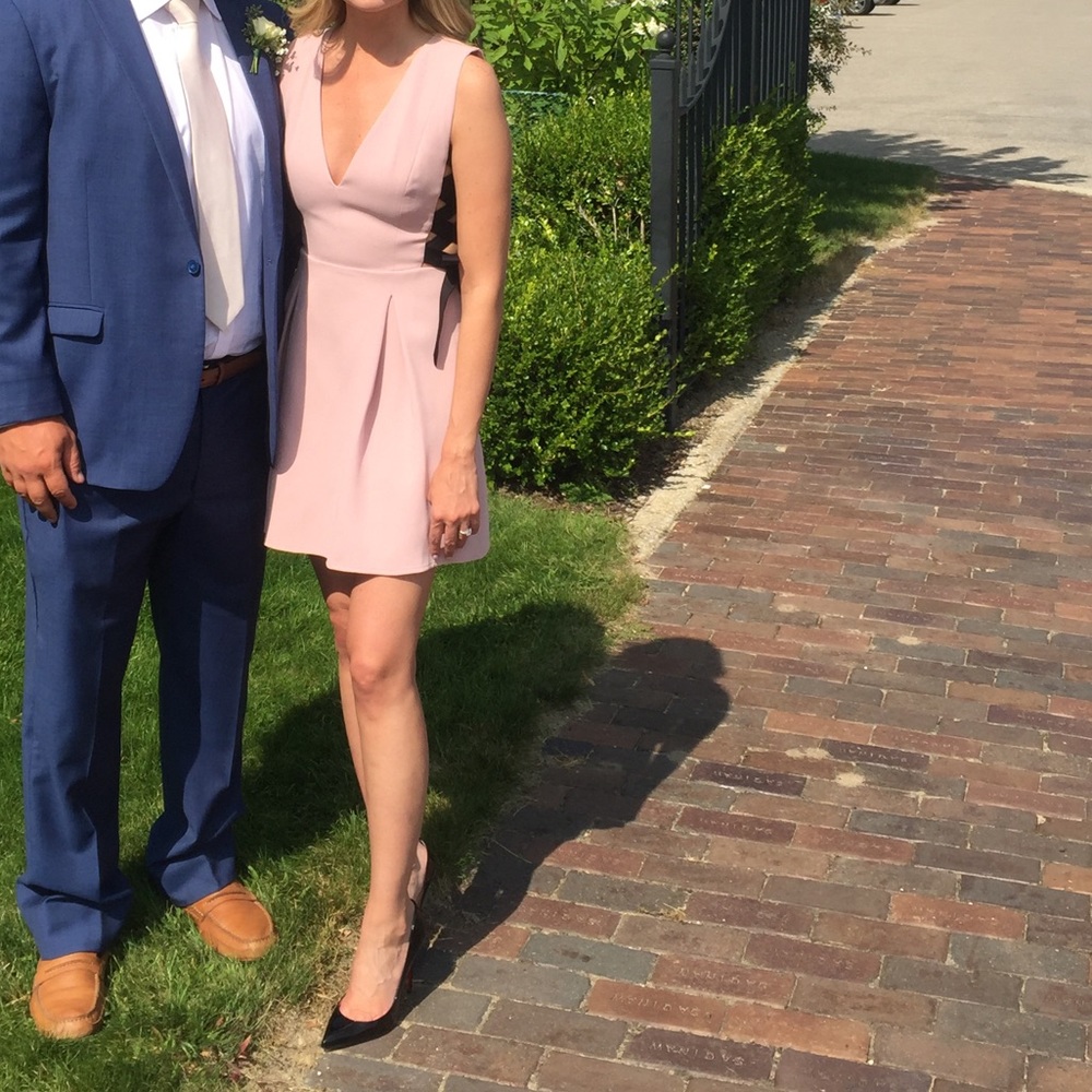 BCBGMAXAZRIA Pale Pink Dress
